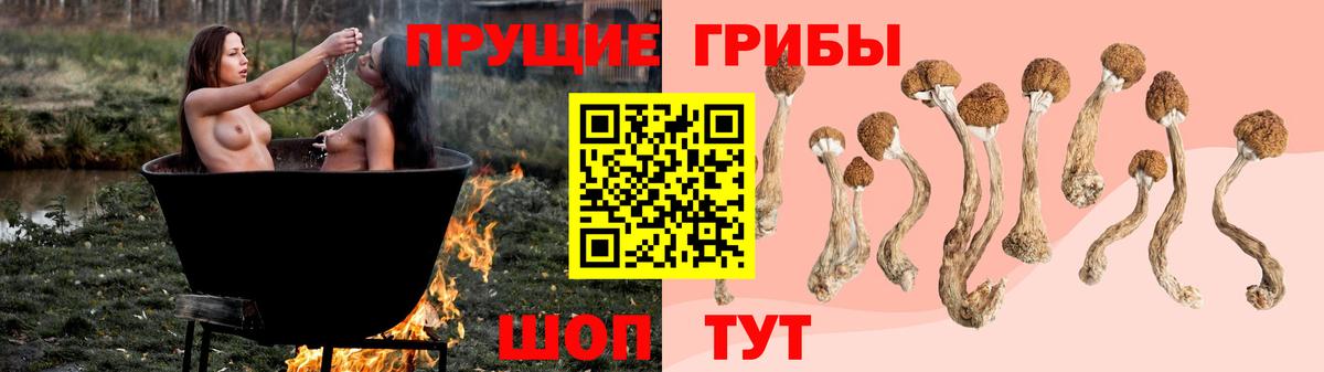 Галлюциногенные грибы мицелий Нововоронеж