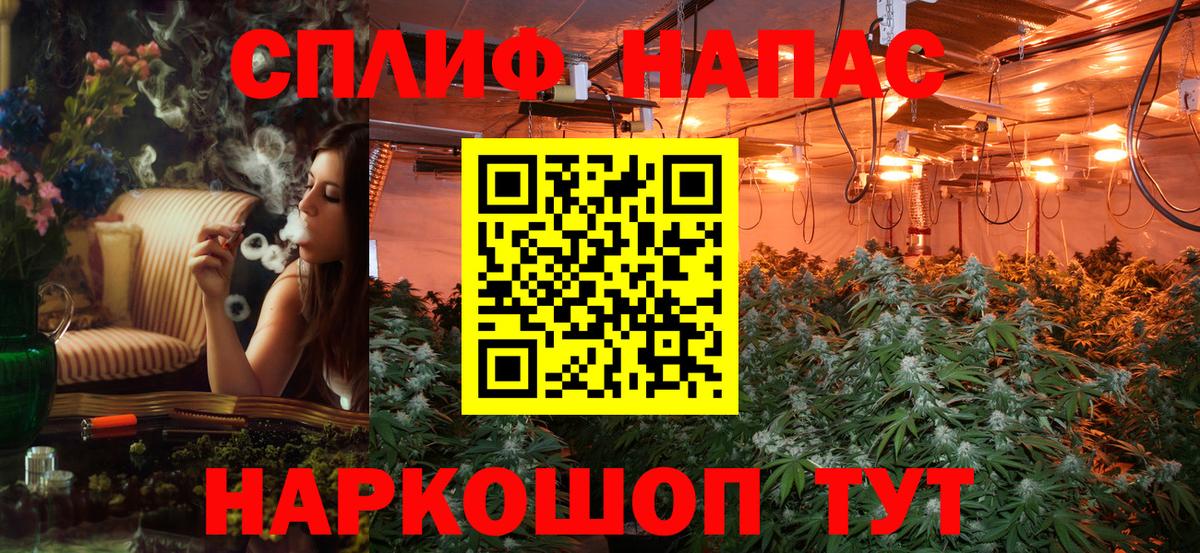 Каннабис план Нововоронеж